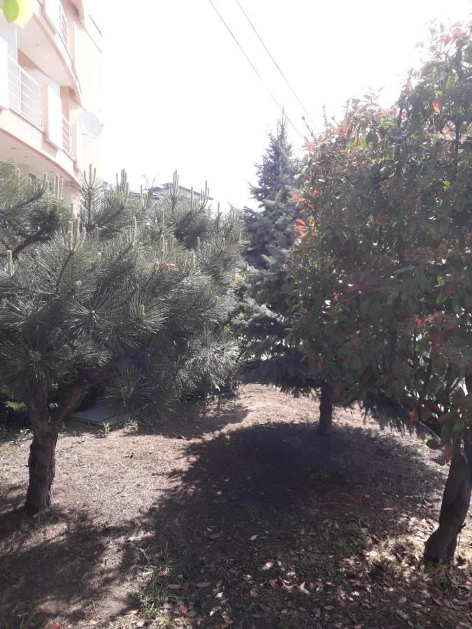 Hotel Holiday Эфорие Норд Экстерьер фото